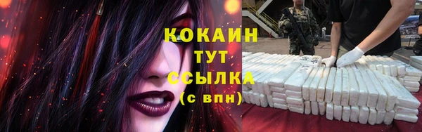 ГАЛЛЮЦИНОГЕННЫЕ ГРИБЫ Коряжма