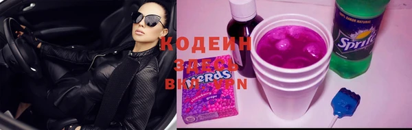 твердый Козельск