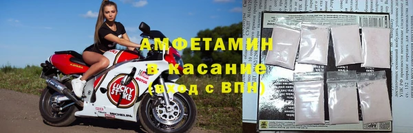 ГАЛЛЮЦИНОГЕННЫЕ ГРИБЫ Коряжма
