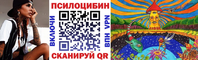 Псилоцибиновые грибы Cubensis Купить Геленджик